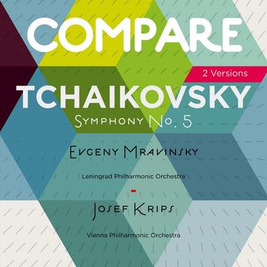 Symphony No. 5 in E Minor, Op. 64: III. Valse. Allegro moderato