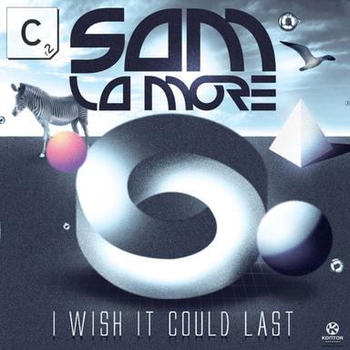 I Wish It Could Last - Hook N Sling Remix