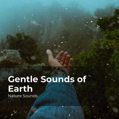 Feel Calm by the Sea