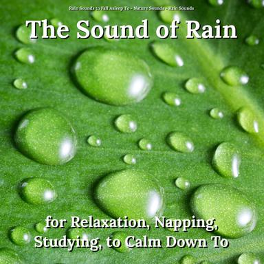 Rain Sounds for Happiness