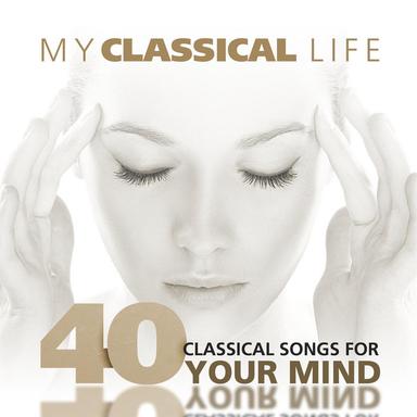 Symphony No. 25 in G Minor, K. 183: II. Andante