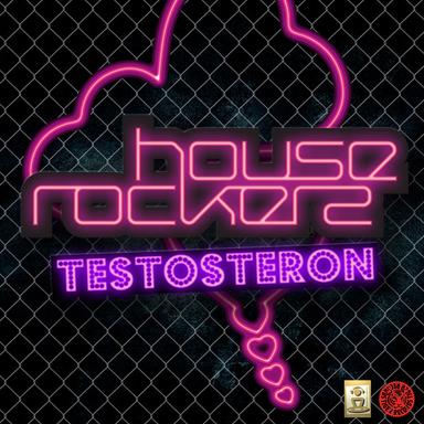 Testosteron - Finger & Kadel Remix