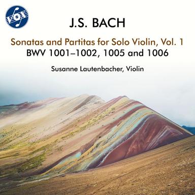 Violin Sonata No. 1 in G Minor, BWV 1001: I. Adagio