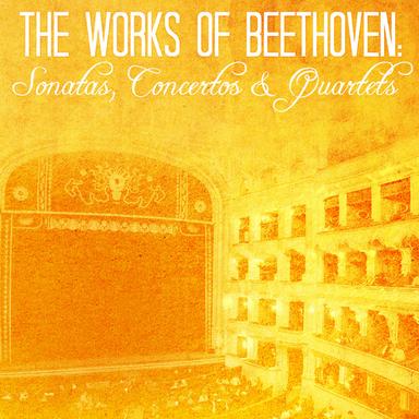 Sonata in D Major for Piano and Violin, Op. 12/1: III. Rondo Allegro