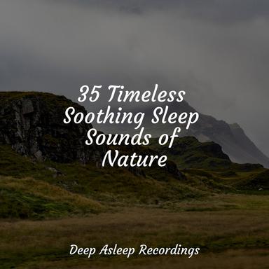 Dunes of Dreaming