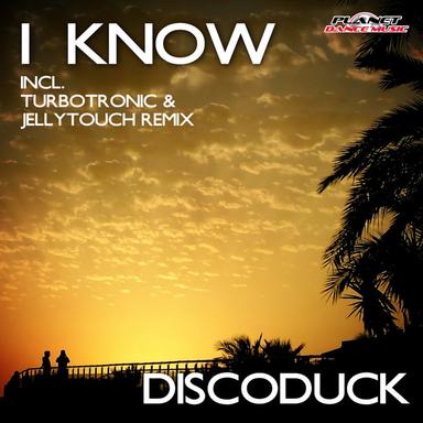 I Know - Turbotronic & Jellytouch Remix Edit