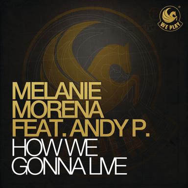 How We Gonna Live (feat. Andy P) - Radio Cut