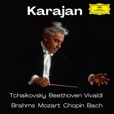 Concerto grosso No. 8 in G Minor, Op. 6/8 "Christmas Concerto": IV. Vivace