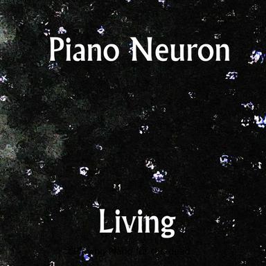 PN