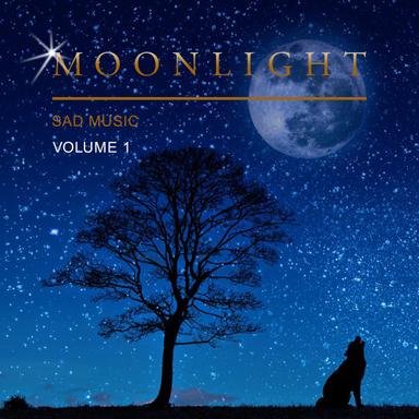Moonlight Sad Music, Vol. 1