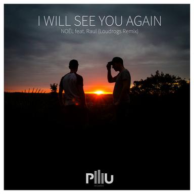 I Will See You Again - Loudrogs Remix Radio Edit