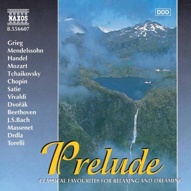 Brandenburg Concerto No. 2 in F Major, BWV 1047: II. Andante