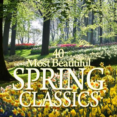 Symphony No. 1 in B-Flat Major, Op. 38 "Spring": II. Larghetto