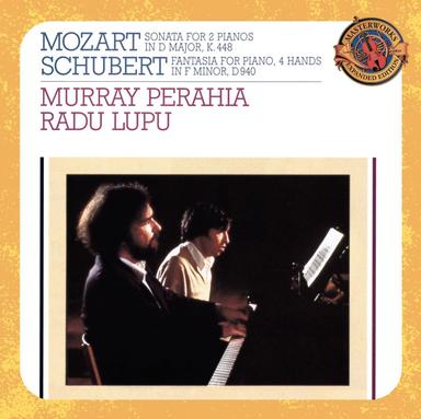 Sonata in D Major for Two Pianos, K. 448: II. Andante