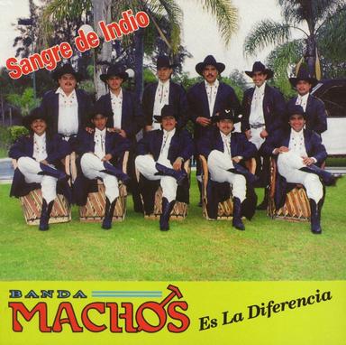 El bilingüe
