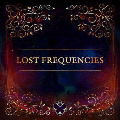 Tomorrowland 31.12.2020: Lost Frequencies (DJ Mix)