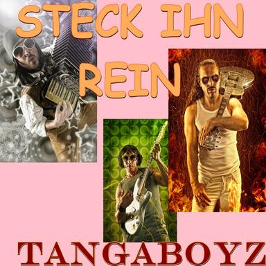 Steck Ihn Rein - Single Fernando