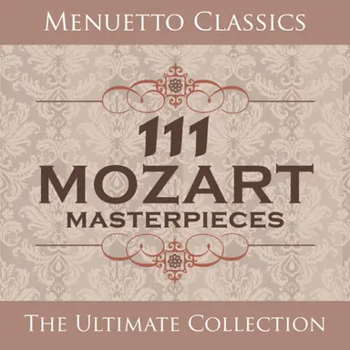 The Magic Flute "Die Zauberflöte", K. 620: Overture
