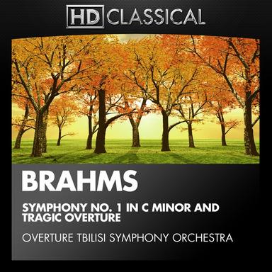 Symphony No. 1 in C Minor, Op. 68: II. Andante sostenuto