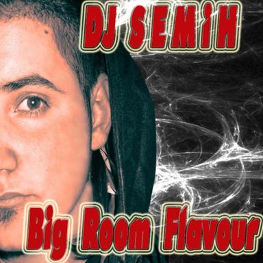 Big Room Flavour