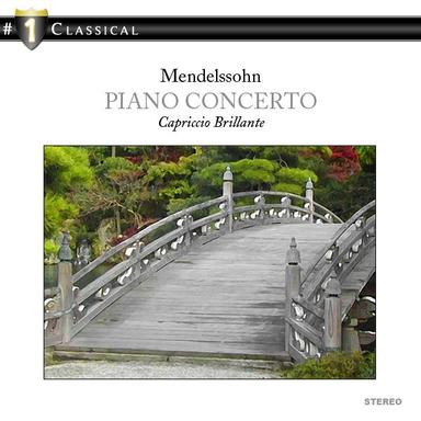 Concerto No. 2 in D Minor for Piano and Orchestra, Op. 40: I. Allegro appassionato
