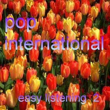 A Country Path (Electric Guitar Melody)