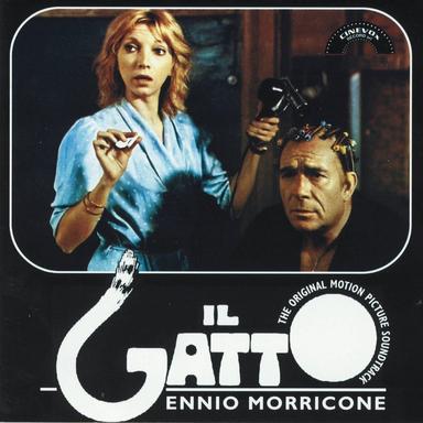 Il gatto