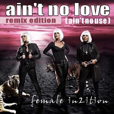 Ain't No Love (Ain't No Use) Remix Edition