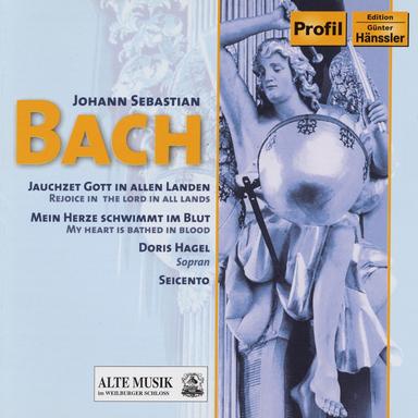 Mein Herze schwimmt im Blut, BWV 199: Chorale con viola obligata: Andante - Ich, dein betrubtes Kind