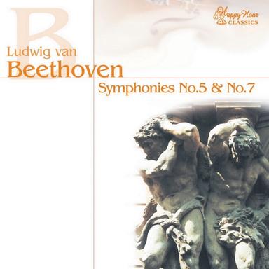 Symphony No. 5, in C Minor, Fate, Op. 67: III. Allegro (Attacca)