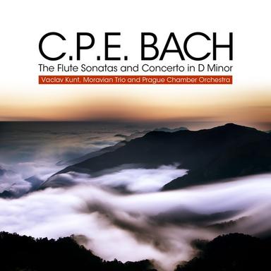Concerto In D Minor For Flute And Orchestra, Wq 22: II. Un Poco Andante