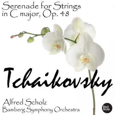 Serenade for Strings in C major, Op. 48: II. Valse
