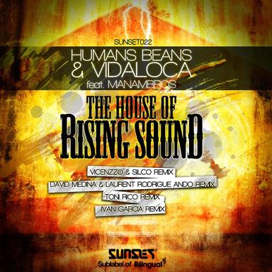 House of the Rising Sound - Vicenzzo & Silco Remix