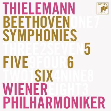 Symphony No. 6 in F Major, Op. 68 "Pastoral": III. Lustiges Zusammensein der Landleute - Allegro