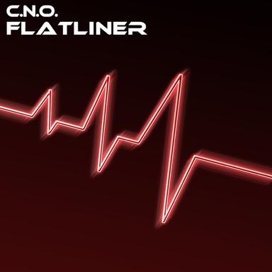 Flatliner - Radio Edit