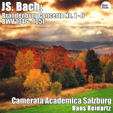 Brandenburg Concerto No. 3 in G major, BWV 1048: I. Allegro moderato