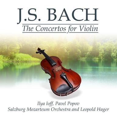 Concerto No. 1 in A Minor for Violin and Strings, BWV 1041: II. Adagio