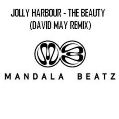 The Beauty - The Electro Remixes - David May Remix