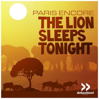 The Lion Sleeps Tonight - Radio Edit