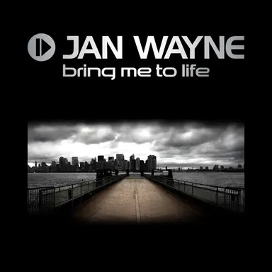 Bring Me To Life - Jan van Bass-10 Remix Edit