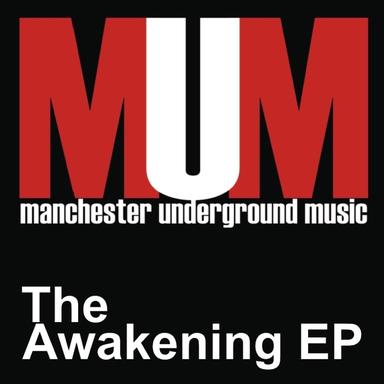 In Pursuit Of Sound - Holmtik Mix