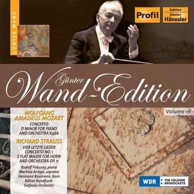 Horn Concerto No. 1 in E-Flat Major, Op. 11, TrV 117: I. Allegro