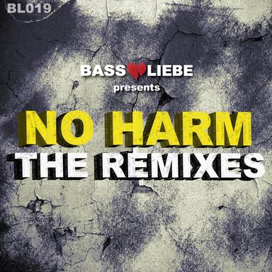 No Harm - Fr33m4n House Remix
