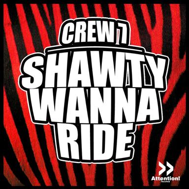 Shawty Wanna Ride - Bootleg Radio Cut