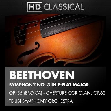 Symphony No. 3 in E-Flat Major, Op. 55, "Eroica": III. Scherzo: Allegro vivace