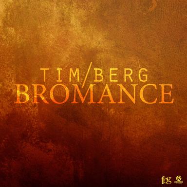 Bromance (Avicii's Radio Edit)