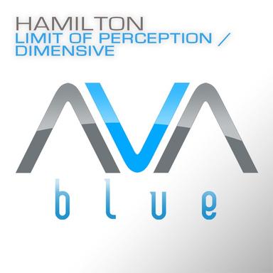 A Limit of Perception