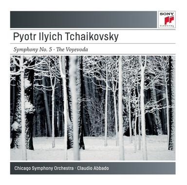Symphony No. 5 in E minor, Op. 64: II. Andante cantabile, con alcuna licenza