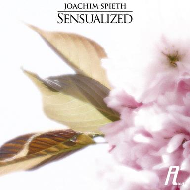 Sensual - Original Mix