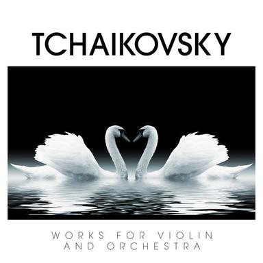 Concerto in D Major for Violin and Orchestra, Op. 35: I. Allegro moderato